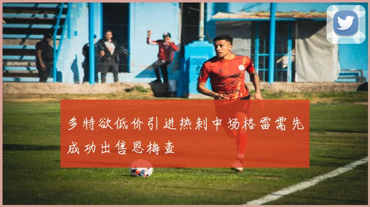 多特欲低价引进热刺中场格雷需先成功出售恩梅查