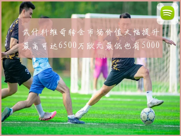 武什科维奇转会市场价值大幅提升最高可达6500万欧元最低也有5000万欧元